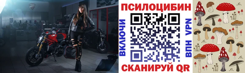 Псилоцибиновые грибы прущие грибы shop как зайти Сергач где купить наркотик